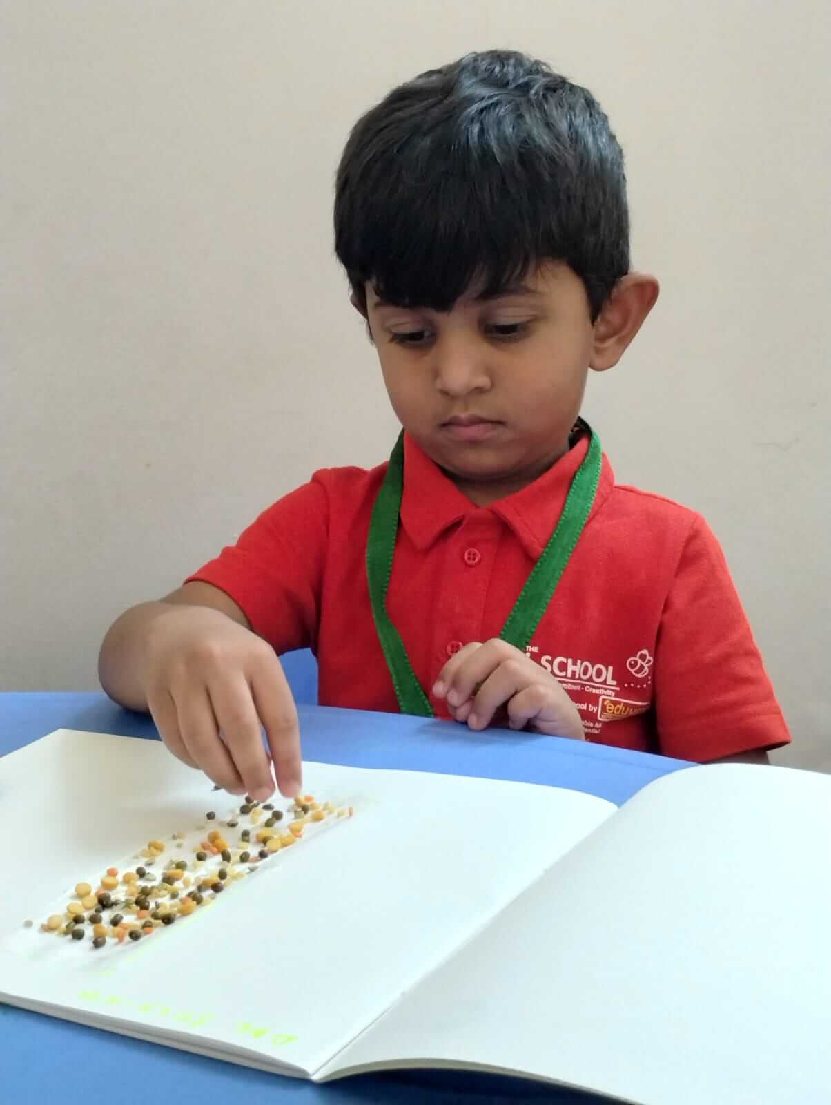 Play School Padugupadu Nellore